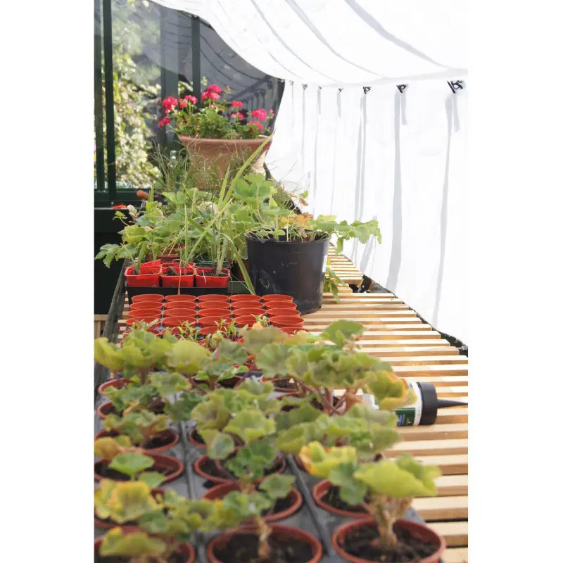 Glashaus CHAMBORD Breite 2,80 m mit Aluminiumsockel