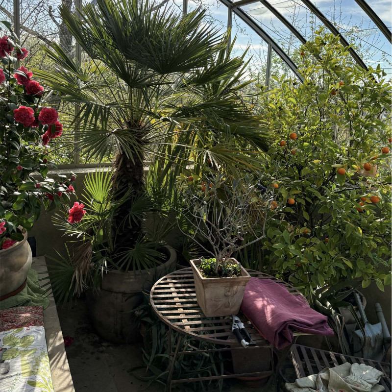 Glashaus MONTESQUIEU Breite 2,80 m mit Mauersockel