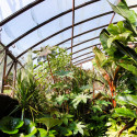 Glashaus MONTESQUIEU Breite 2,80 m mit Mauersockel