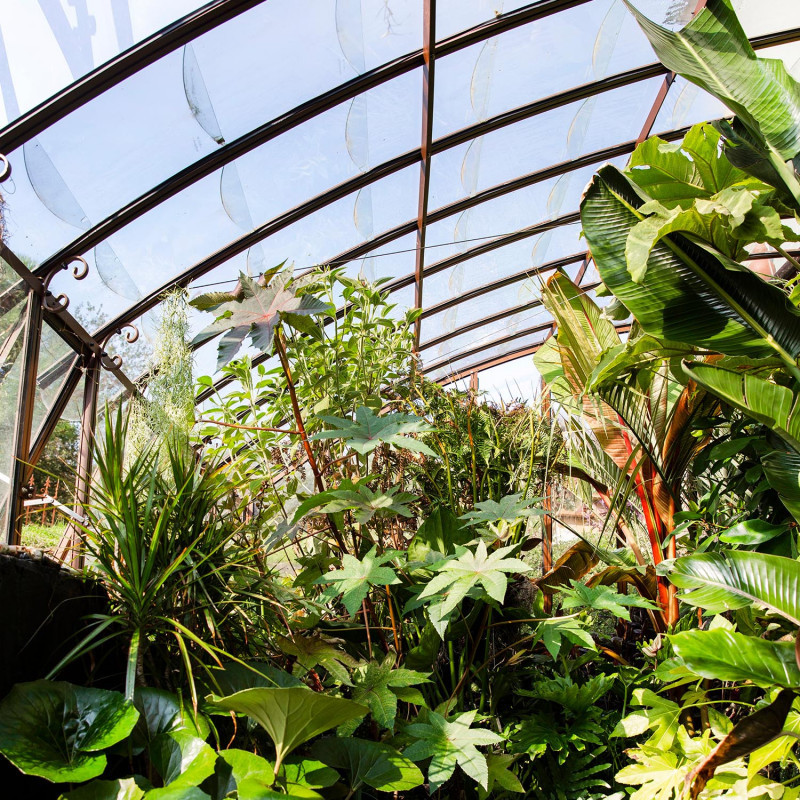 Glashaus MONTESQUIEU Breite 2,80 m mit Mauersockel