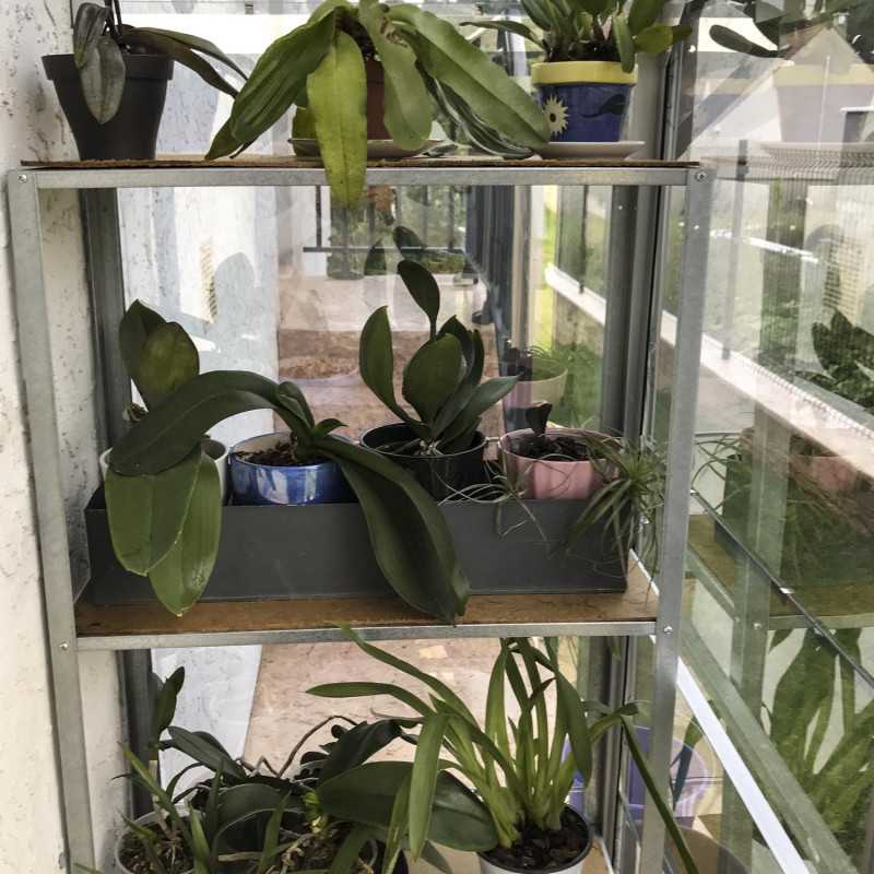 Gewächshaus MELISSA 1,30 m²