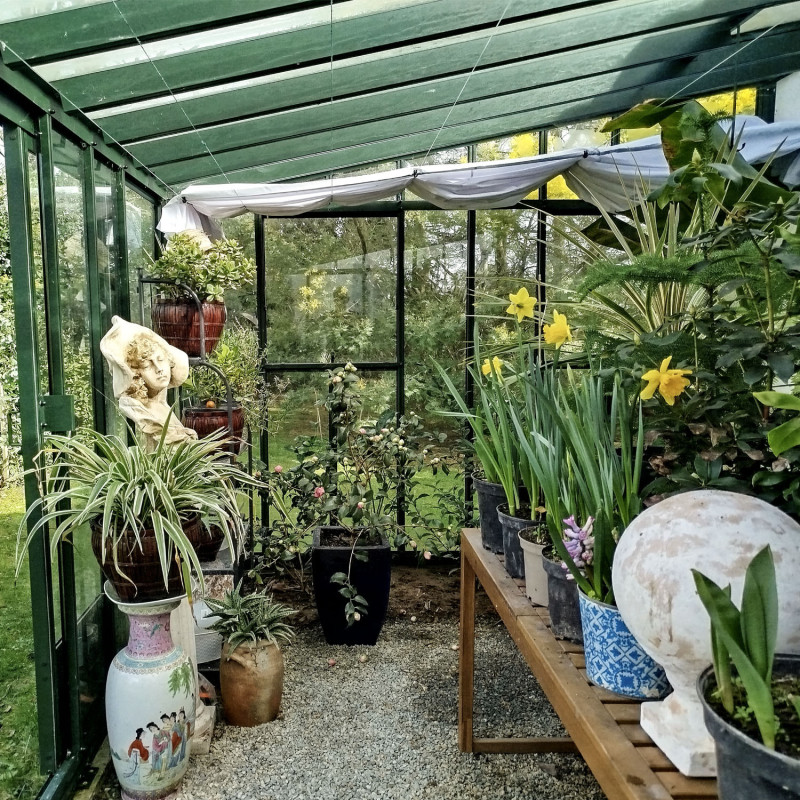 Serre LUXIA Rétro Adossée largeur 3,06 m