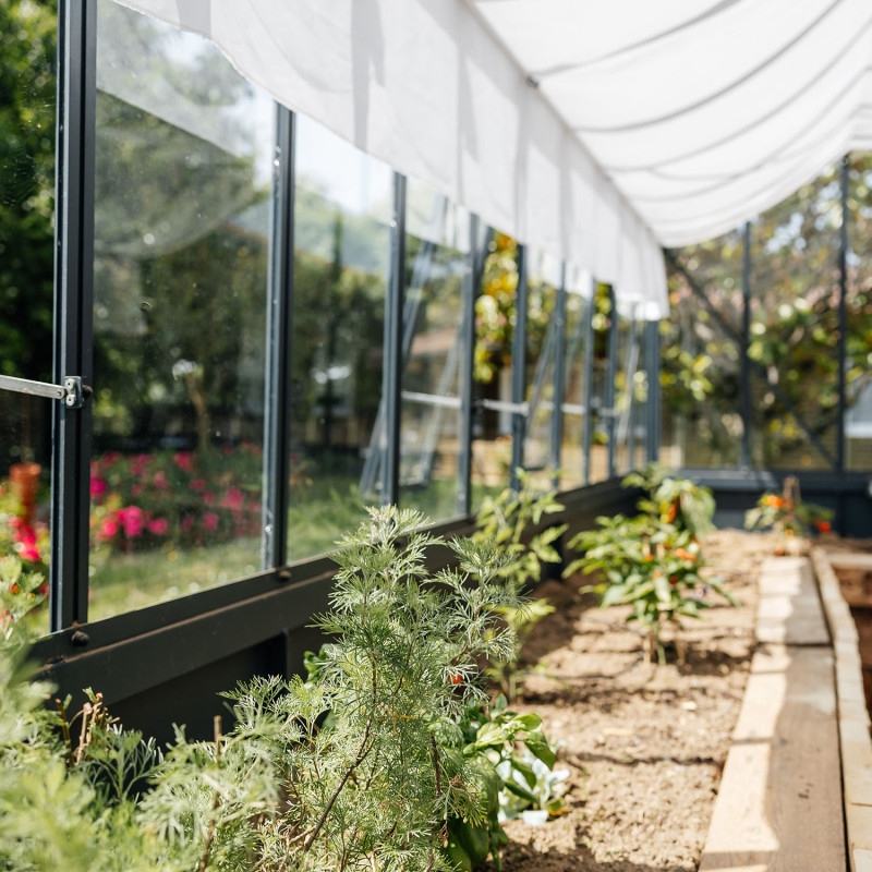 Glashaus CLASSIQUE Breite 2,75 m mit Aluminiumsockel