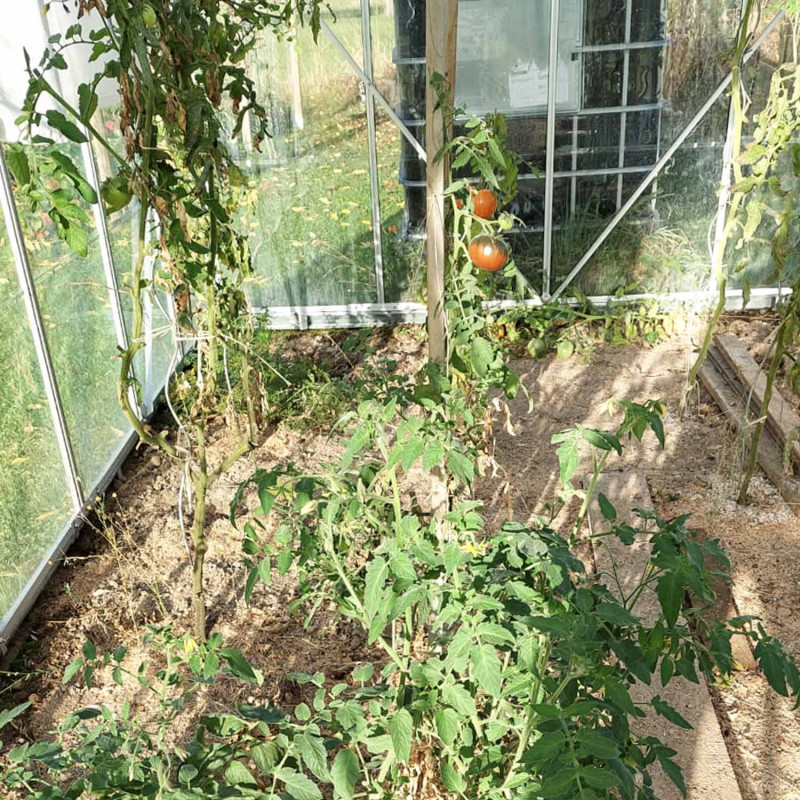 Serre LAURUS 14,40 m²