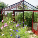 Gewächshaus LUXIA mit Mauersockel Breite 3,09 m