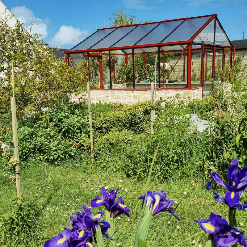 Gewächshaus LUXIA mit Mauersockel Breite 3,09 m