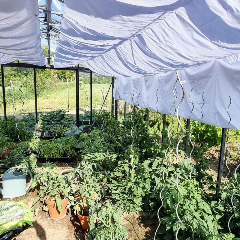 Gewächshaus SUPRA Breite 3,80 m