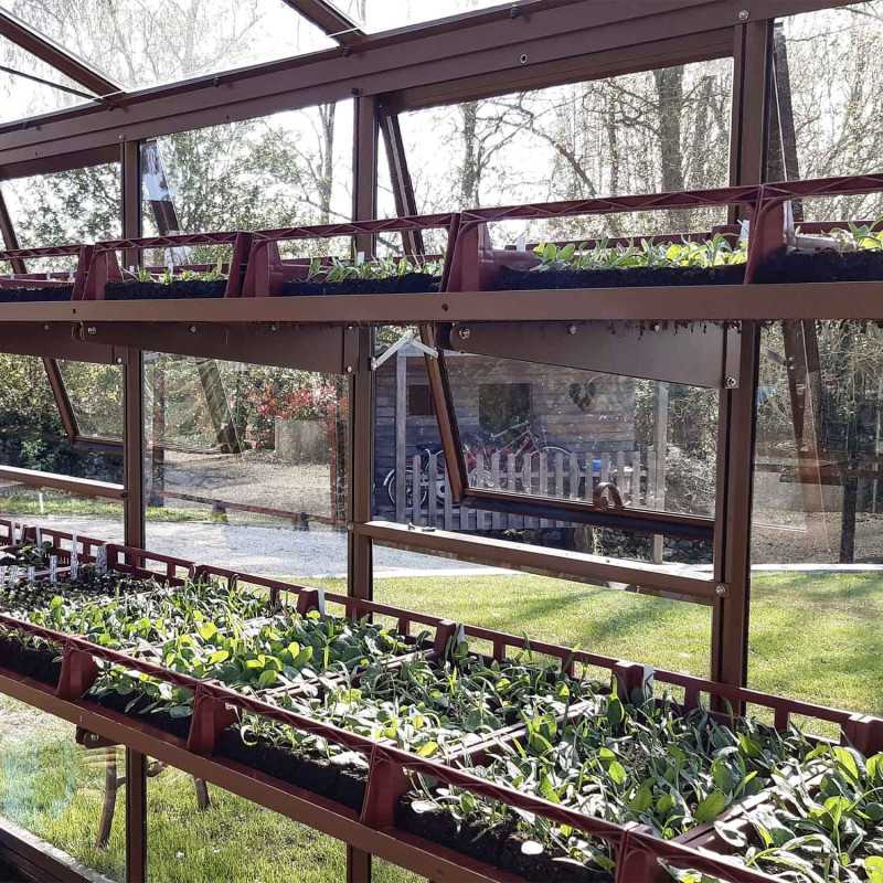 Gewächshaus SUPRA Breite 3,80 m