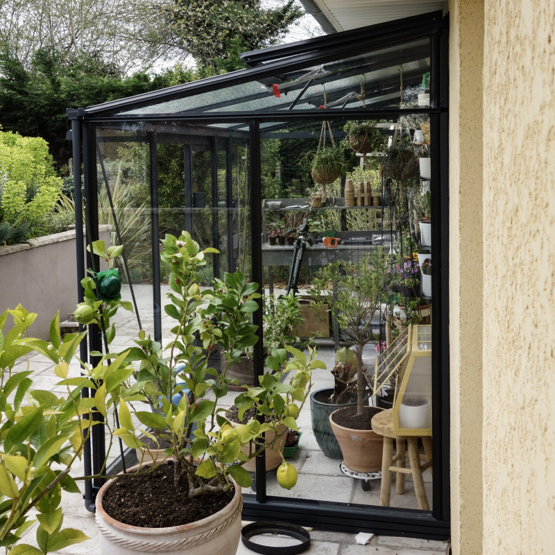 Anlehngewächshaus LUXIA Breite 1,58 m