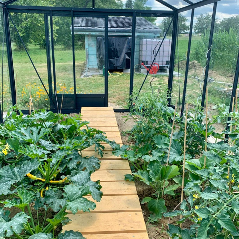 Gewächshaus LUXIA Breite 3,09 m