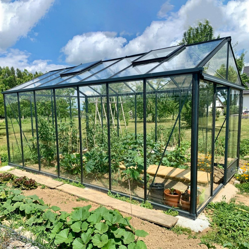 Gewächshaus LUXIA Breite 3,09 m