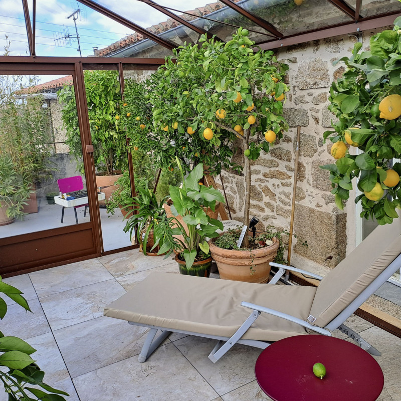 Gewächshaus LUXIA Breite 3,09 m